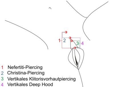 intimpiercings der klitorisvorhaut